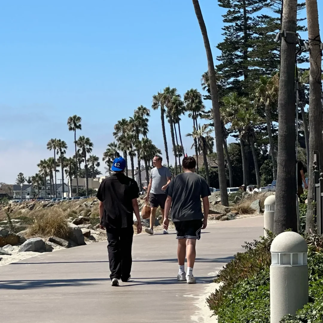 VICI-languages-LIVE-USA-Californie-photo-26